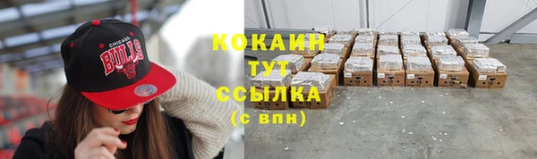 соль ск Алексин