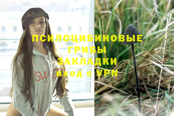 Альфа ПВП Алексеевка