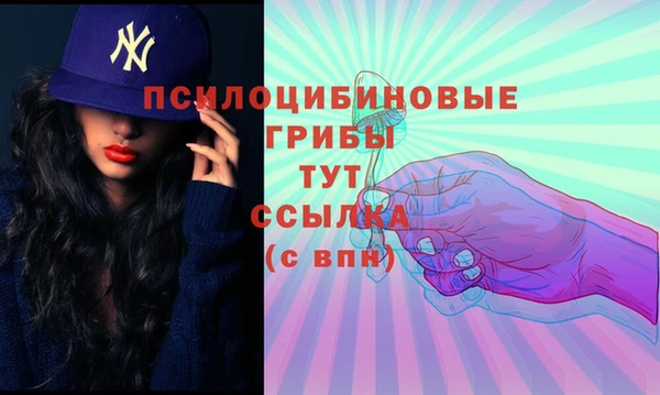 амф Алзамай