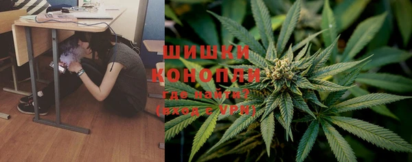 амф Алзамай