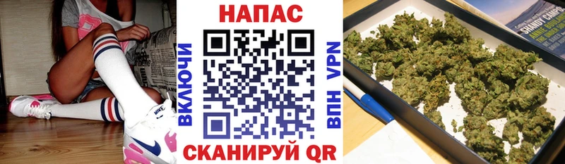гидра ссылка  Волгоград  Шишки марихуана семена 